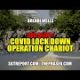 Red Alert: COVID LOCKDOWN – Operation Chariot — Brendi Wells picture.jpg